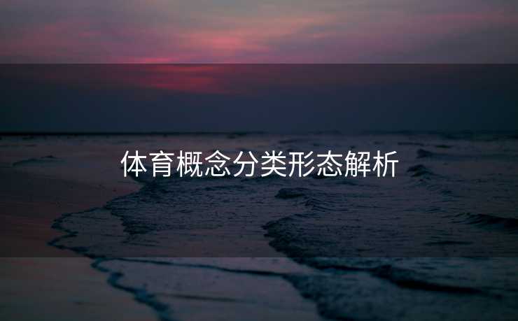 体育概念分类形态解析