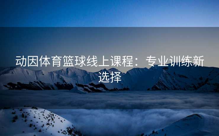 动因体育篮球线上课程：专业训练新选择