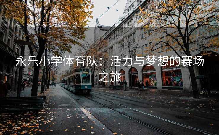永乐小学体育队：活力与梦想的赛场之旅